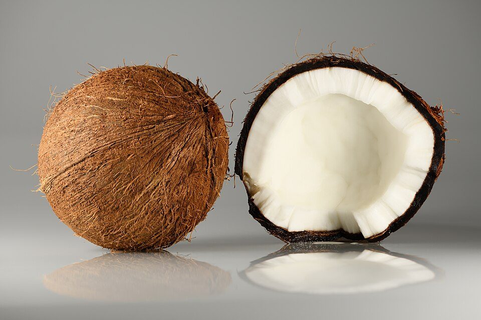 Coconut Coir Fibre Bales (Mattress / Twine Grade)