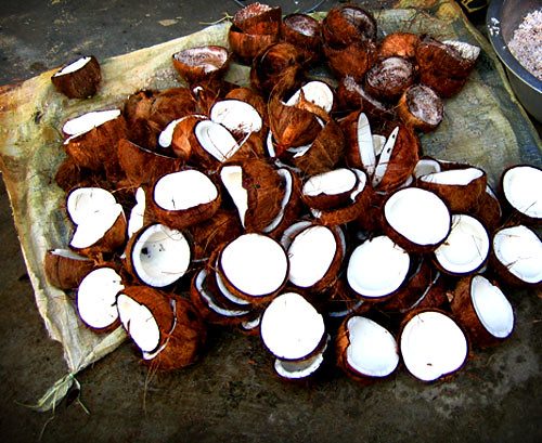 Desiccated Coconut - Fine Grade (Low Fat / High Fat)