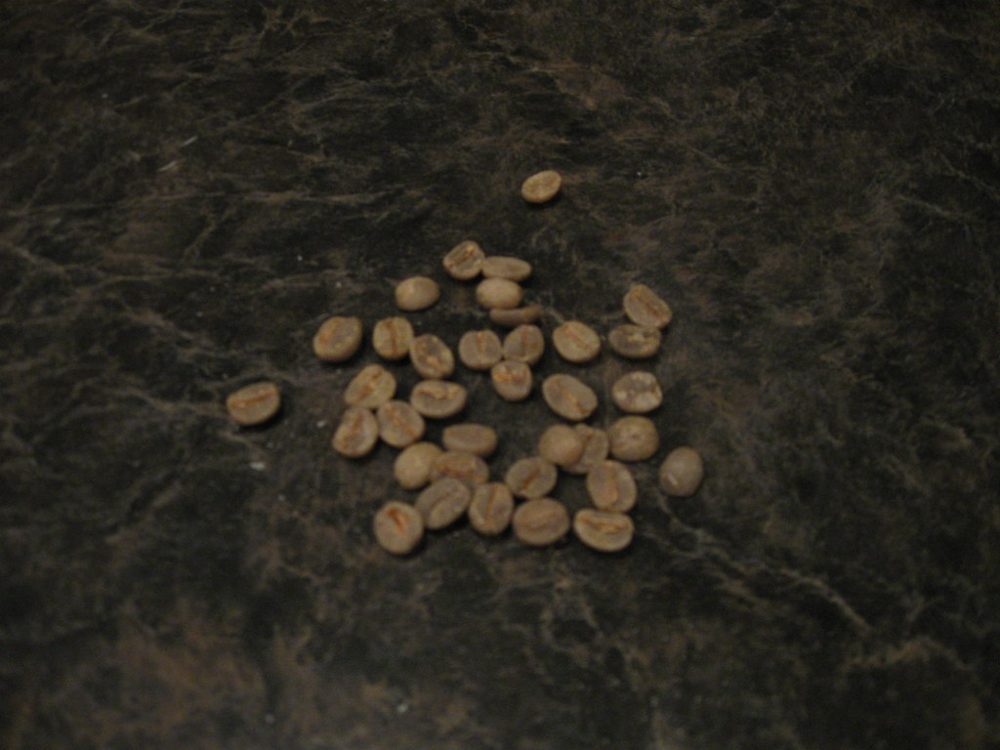 Sumatra Mandheling Arabica Green Coffee Grade 1